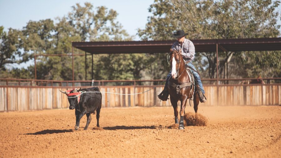 Dustin Rogers will often rope a steer and dally but not stop to keep the horse free and eliminate anticipation of the stop. Photography by Kailey Sullins