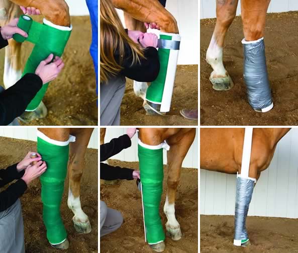 Splinting Techniques