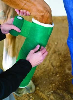 Splinting Techniques