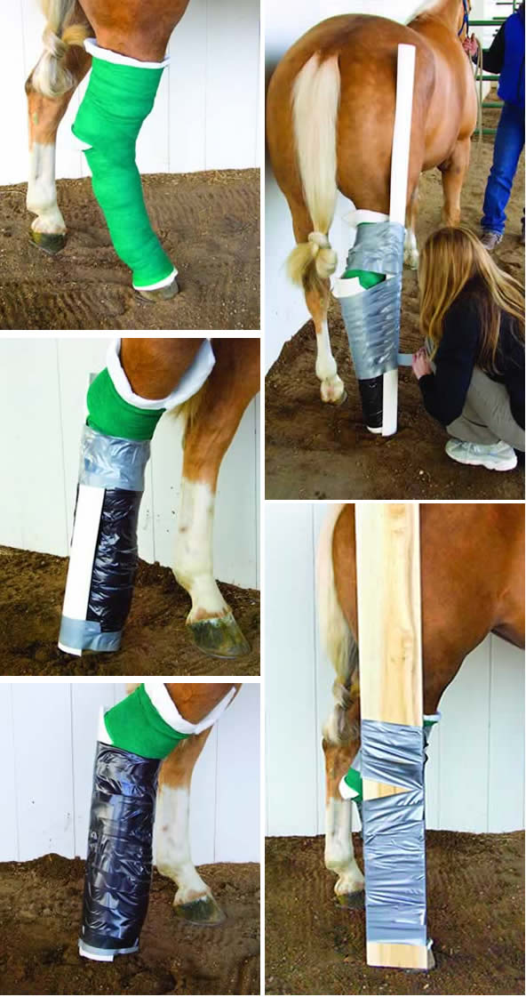 Splinting Techniques