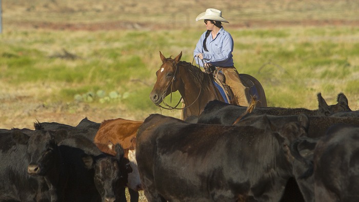 Muleshoe Ranch