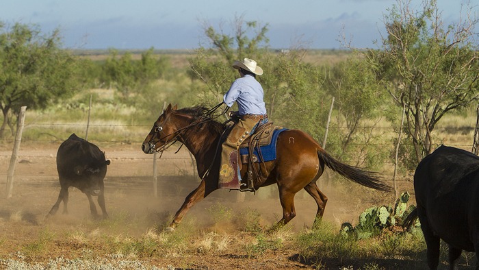 Muleshoe Ranch