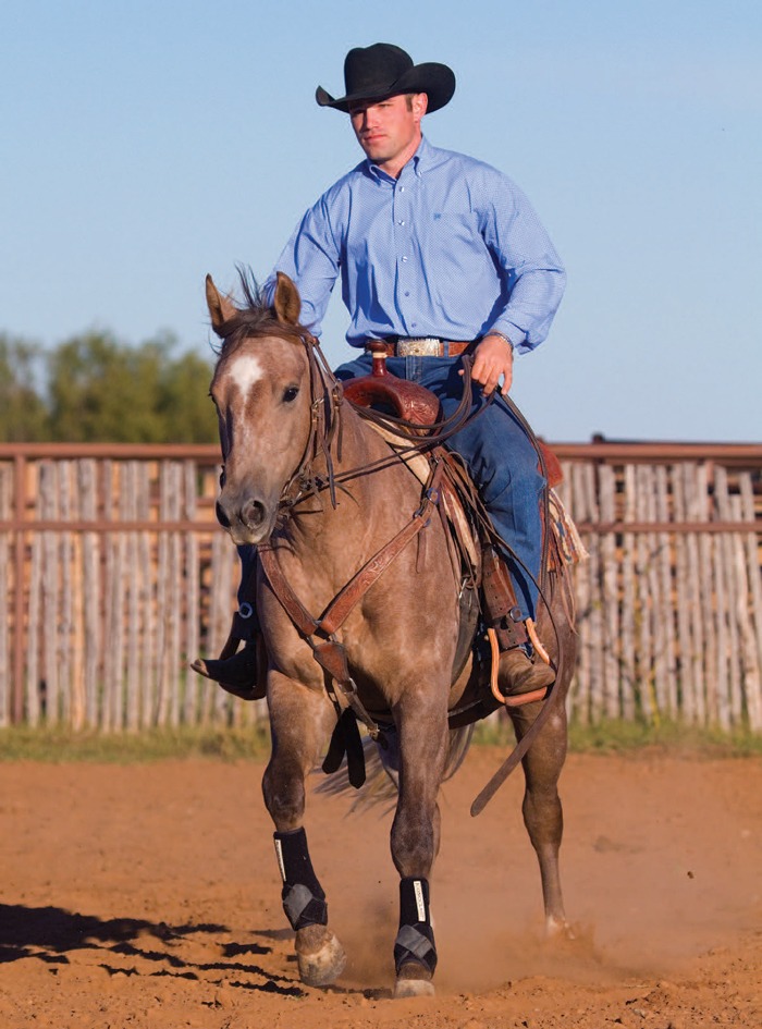 Avoid Ruts with Robert Forst cow horse trainer