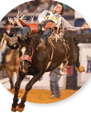 Champion Riding