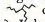 SquiggleBrand