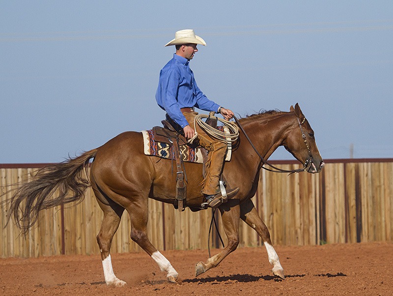 Ben Baldus practicing with horse.