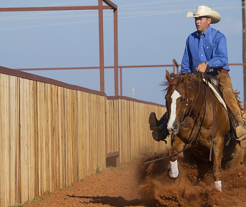 Riding horse as if cow is in arena