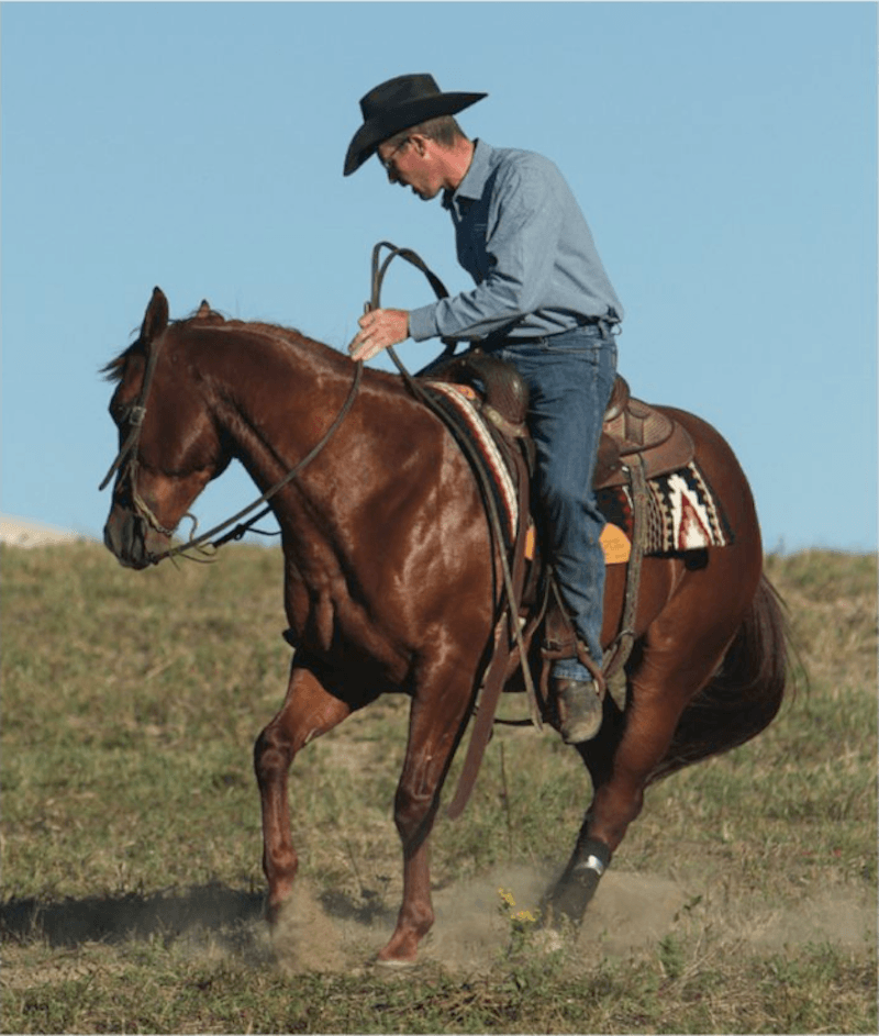 James Payne working out horse