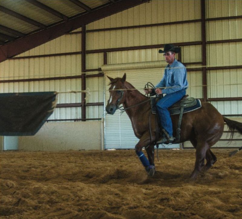 James Payne working a horse on the flag