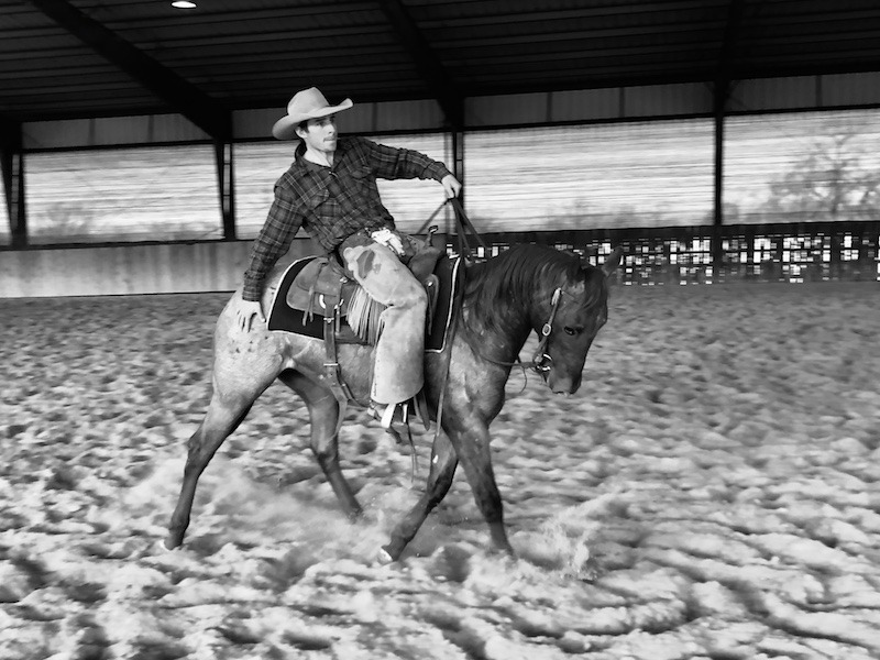 Luke Neubert riding a colt touching it's hind end for desensitization