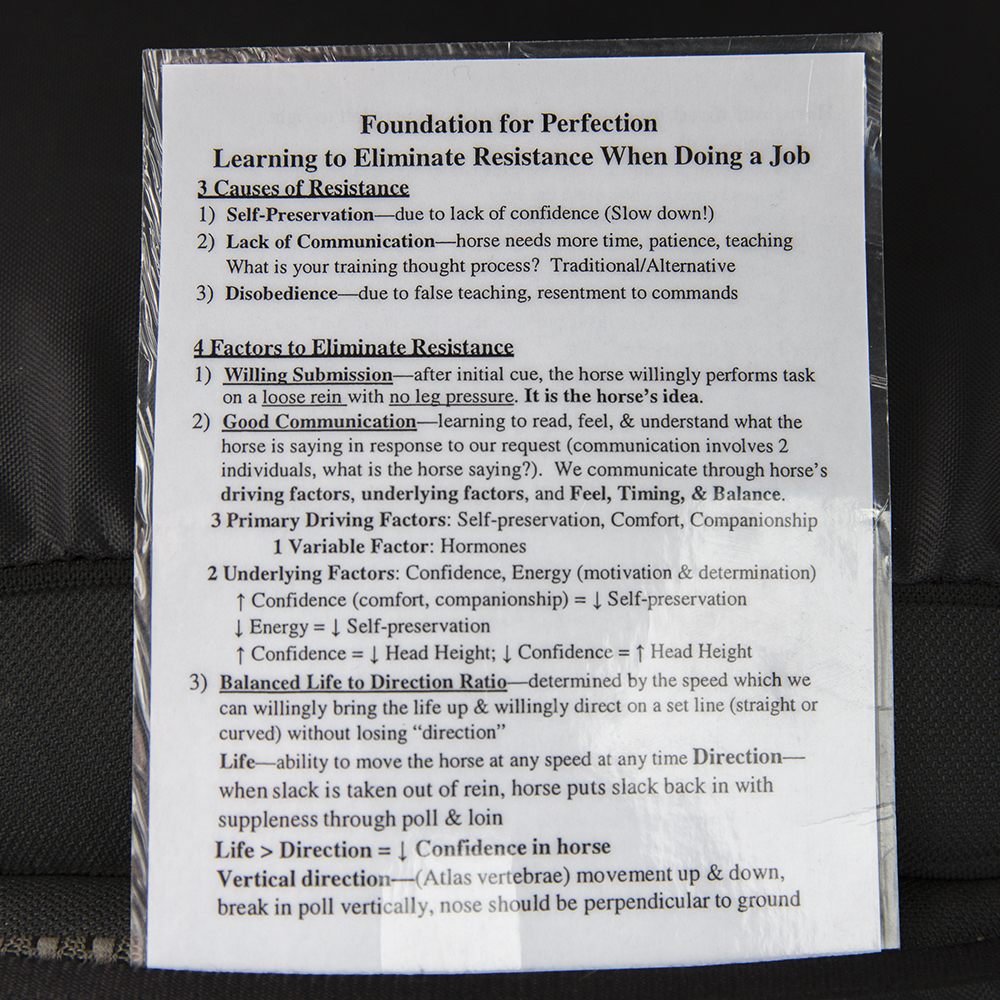 Each student in Black's college class receives notes on horsemanship with defined terms.