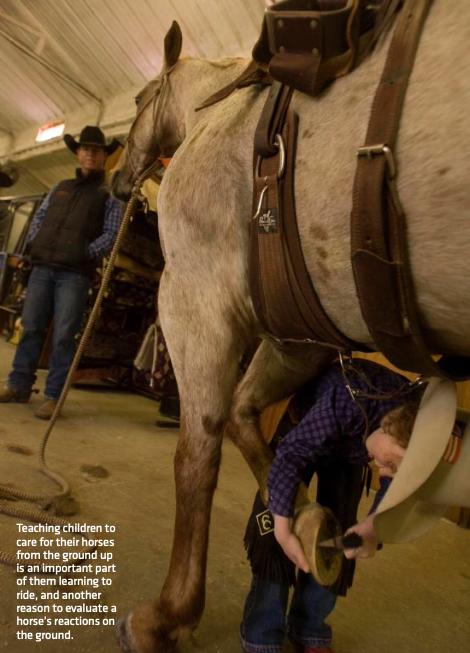 Selecting the right children's horse is the first step in encouraging young riders, according to Chris Cox.