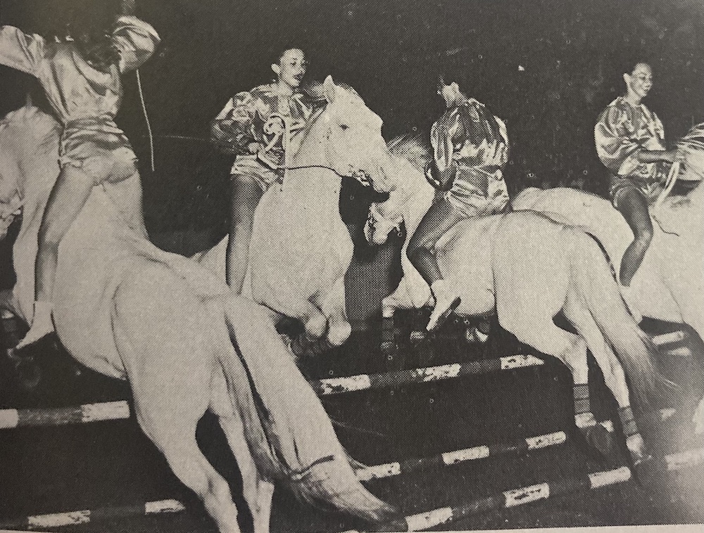 Albino horses, characterized by their white coats and pink skin, can trace their ancestors back to a milk-white stallion, Old King.