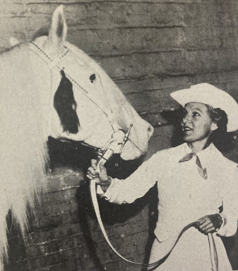 Albino horses, characterized by their white coats and pink skin, can trace their ancestors back to a milk-white stallion, Old King.