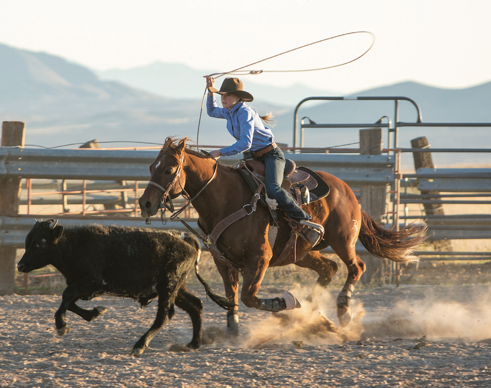 Meet the Todd's, Etbauer's, and Bushaw's. Three sets of siblings who know what it means to grow up “the cowboy way.”