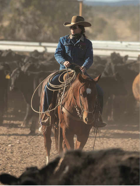 Arizona’s K4 Ranch has built a horse program around producing horses that go from the ranch to the rodeo arena.