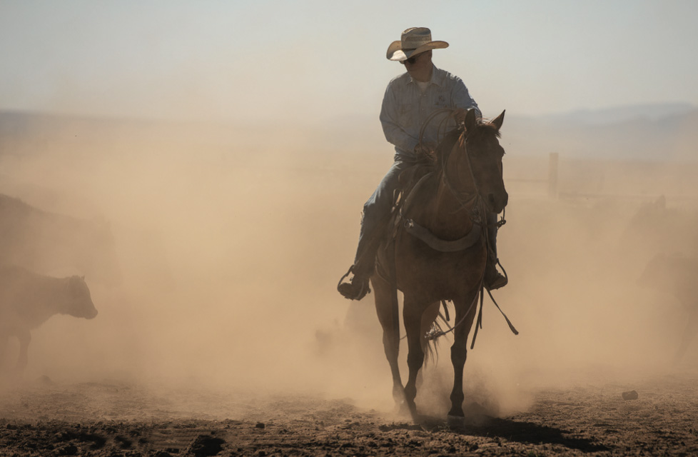 Arizona’s K4 Ranch has built a horse program around producing horses that go from the ranch to the rodeo arena.