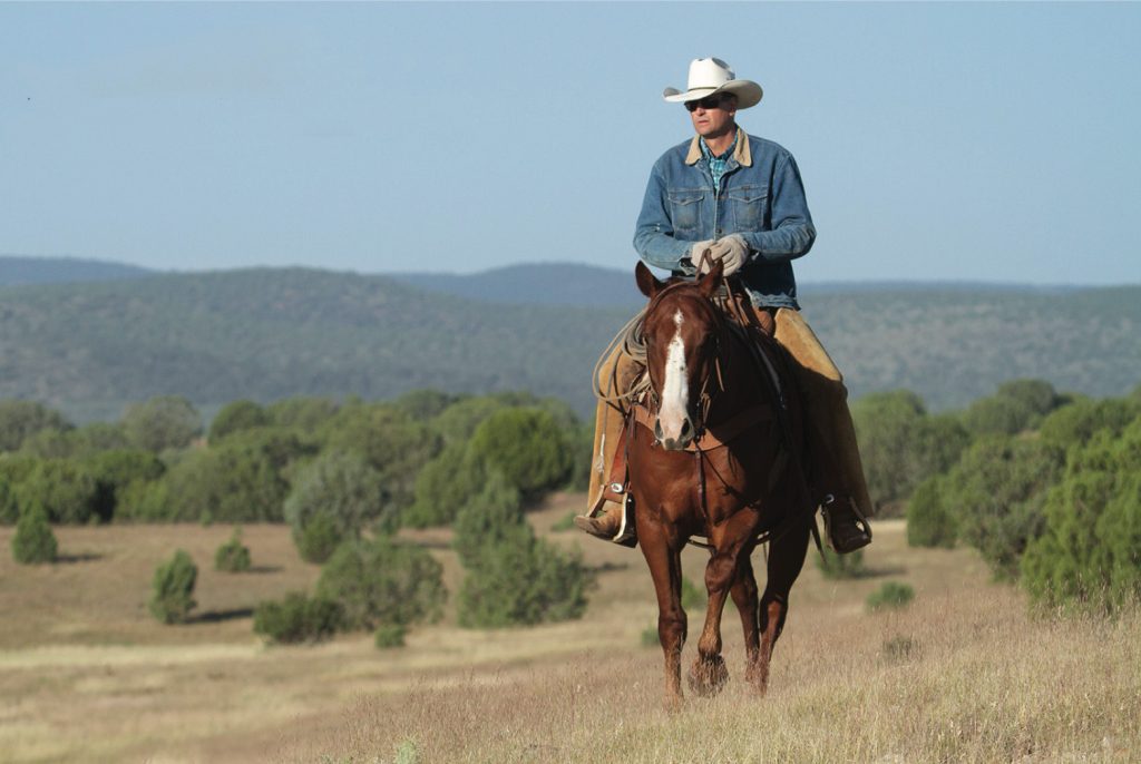 Arizona’s K4 Ranch has built a horse program around producing horses that go from the ranch to the rodeo arena.