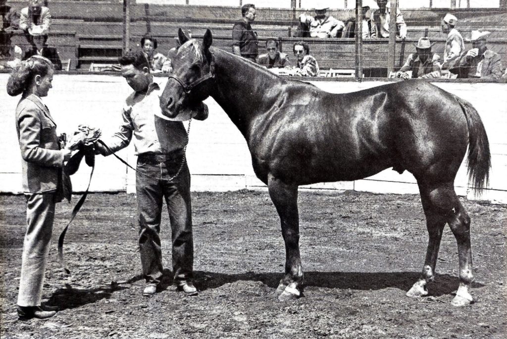 Bill Cody, son of Wimpy.