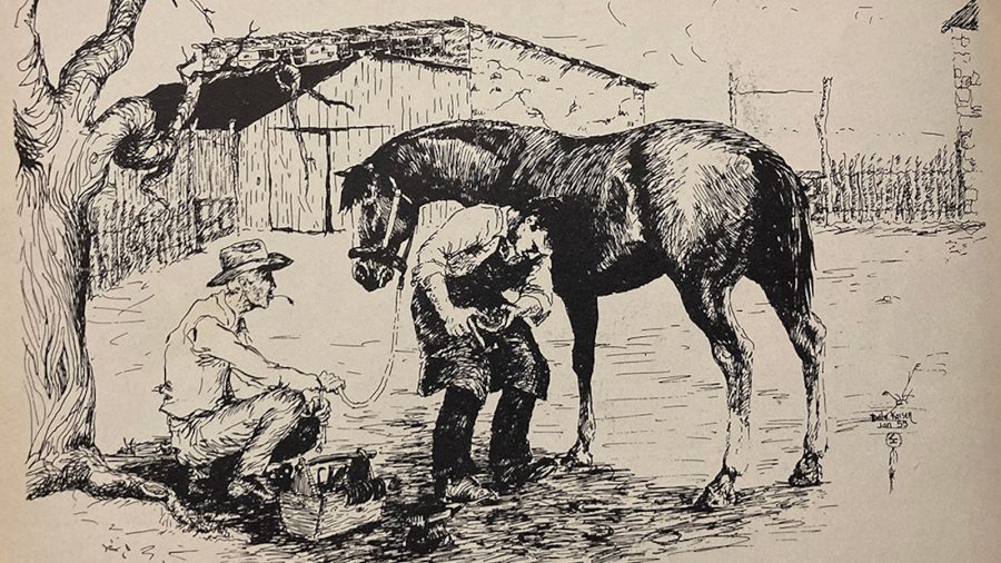 Here are some ideas that will help build a better relationship between you and your horseshoer and result in better care for your horse.