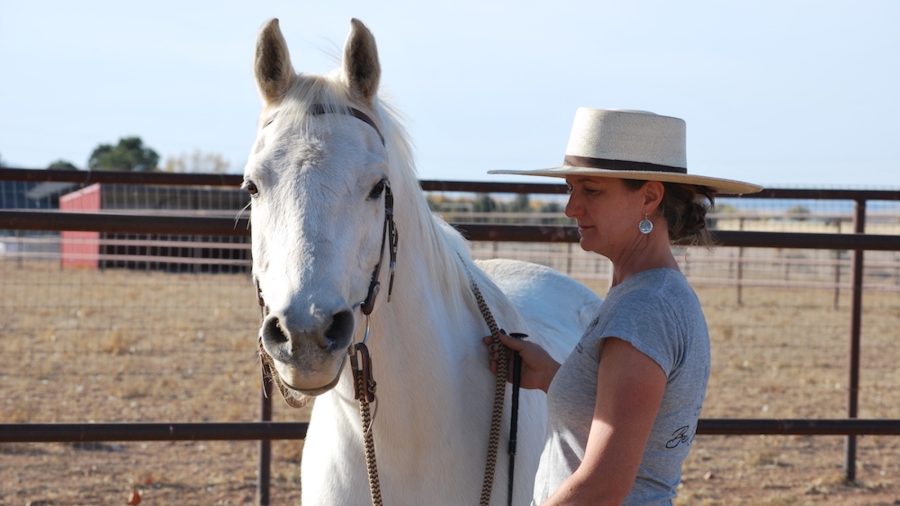 Learn how to teach an advanced movement from the ground. This advanced groundwork exercise is sure to help you and your horse.