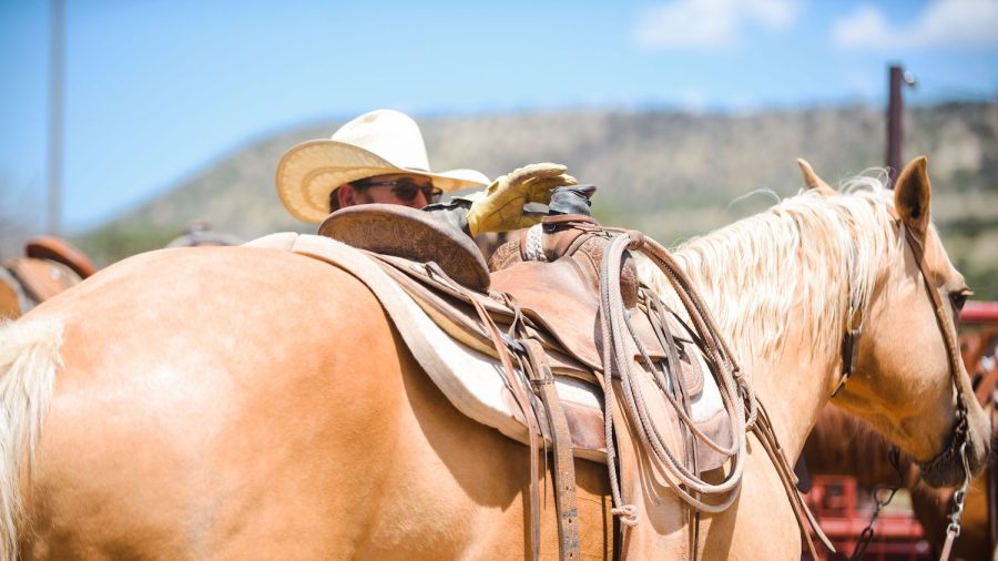 A horse stands tacked while a cowboy stands on the other side of the horse.