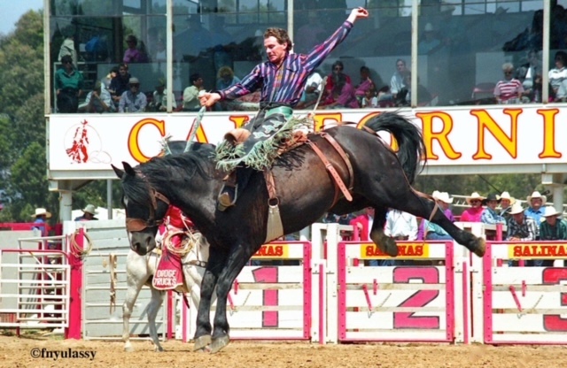 Dave Appleton, an elite bareback and saddle bronc rider from Australia, describes his life as the perfect example of divine intervention.