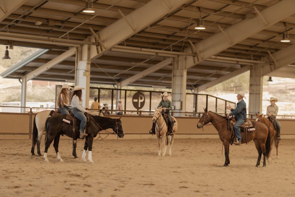 Students are training horses for the Cal Poly Performance Horse Sale, one of the most successful collegiate horse sales in the country.