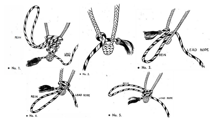 The steps to tie a mecate.