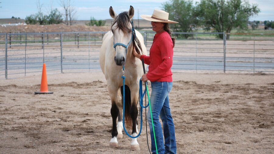 Tessa Nicolet standing with a horse. Photography by Kayli Hanley