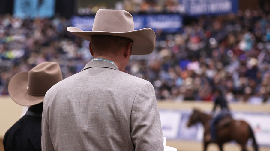 Road to the Horse judges
