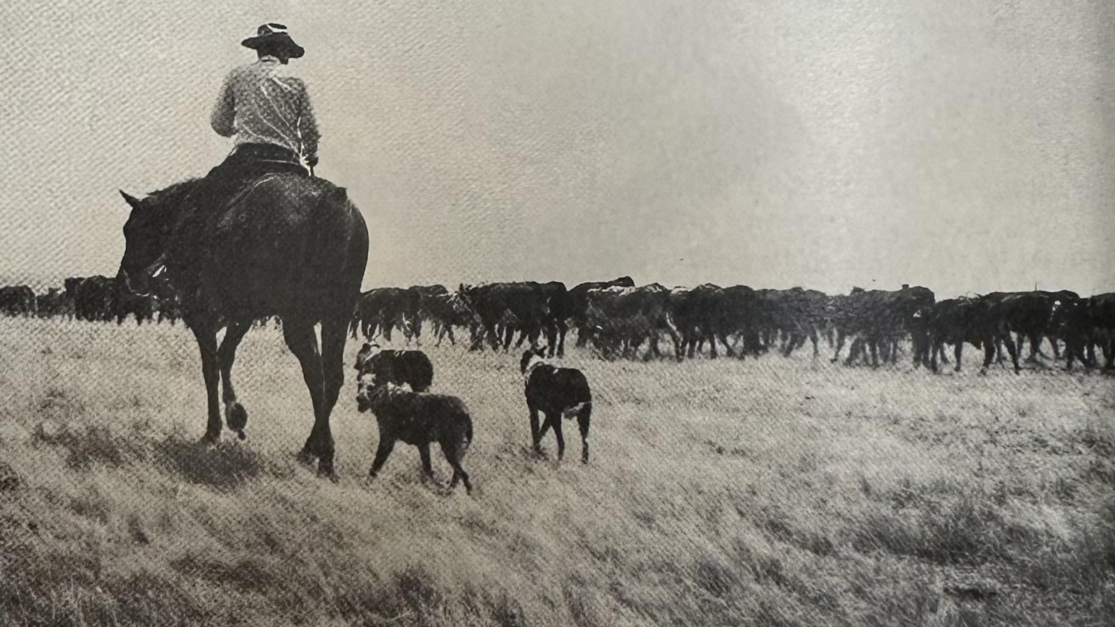 Hollister ranch