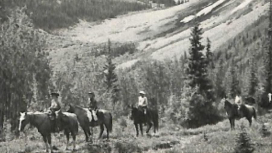 Wilderness rides feature image