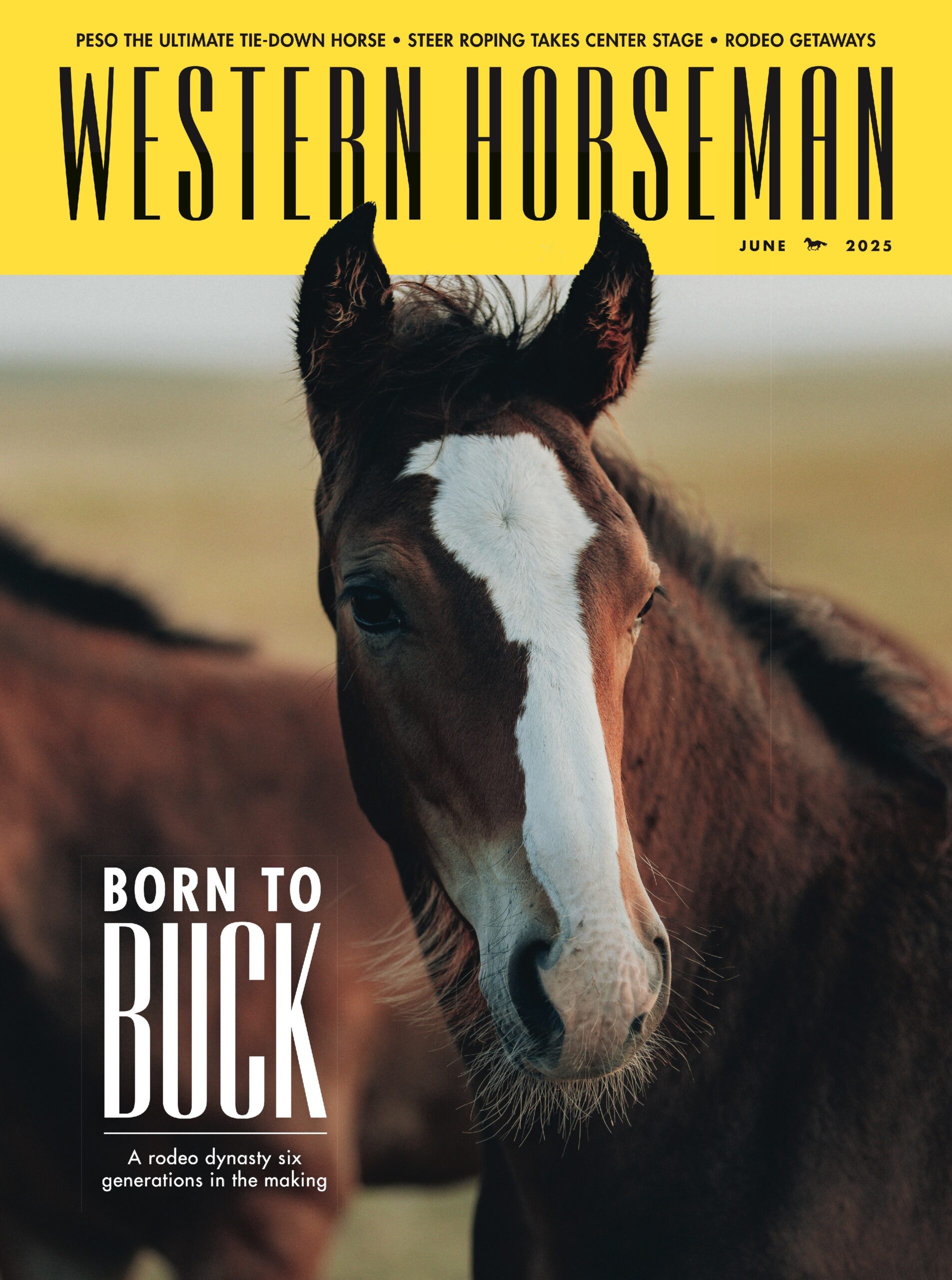 June 2025 cover