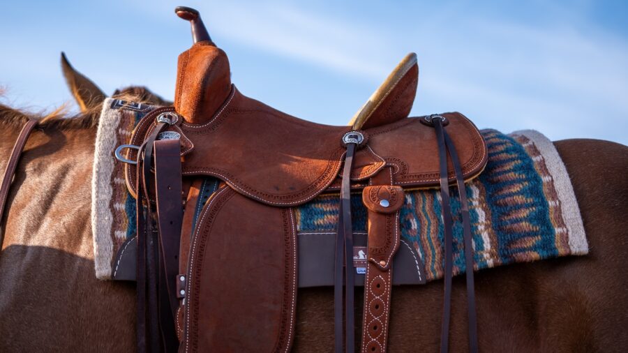 Martin Saddlery Saddle