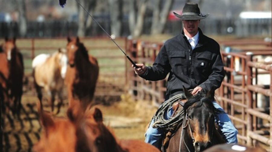 Mike Sikveland moving horses at a sale barn in Montana
