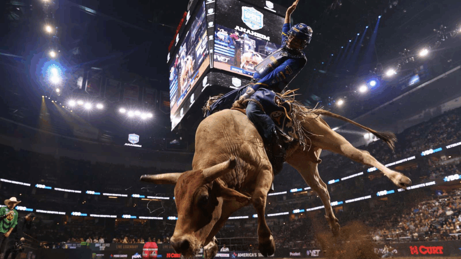 Nashville Stampede bull riding