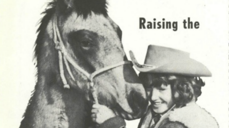 Raising the orphan foal