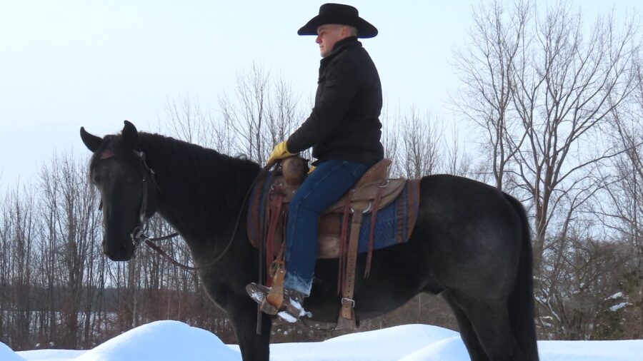 After mounting, I have the horse stand for at least 30 seconds before asking him to move.