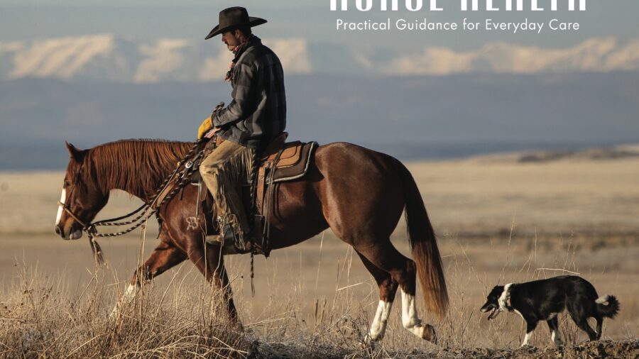 April 2026 cover. Nick Eiguren heads out to gather cattle on the Eiguren Ranch's high desert range near Jordan Valley, Oregon. Photograph by Emily Eiguren.