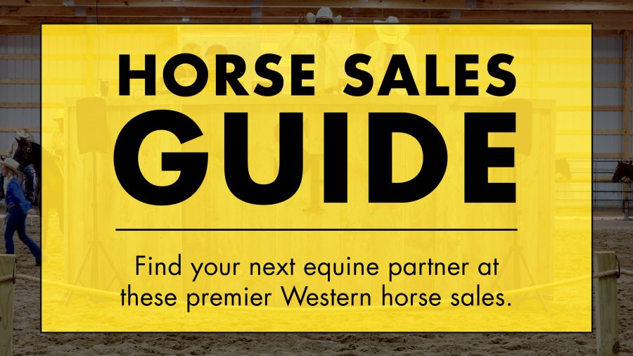 Horse Sales Guide