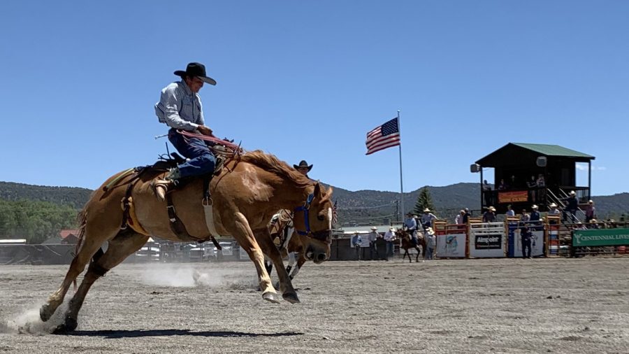 bucking horse at a rodeo